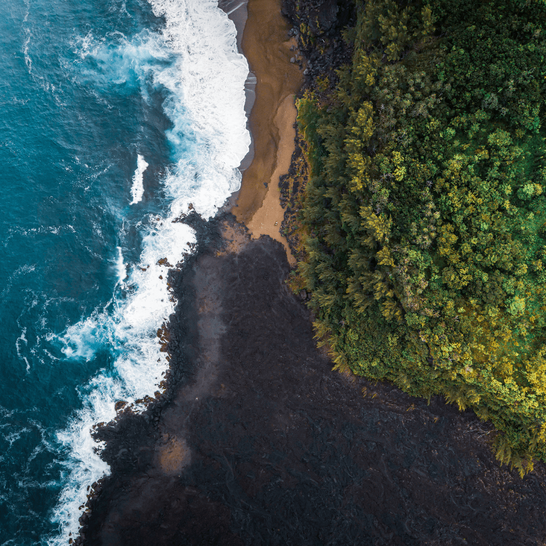 La Révolution Énergétique à La Réunion : Un défi spécifique